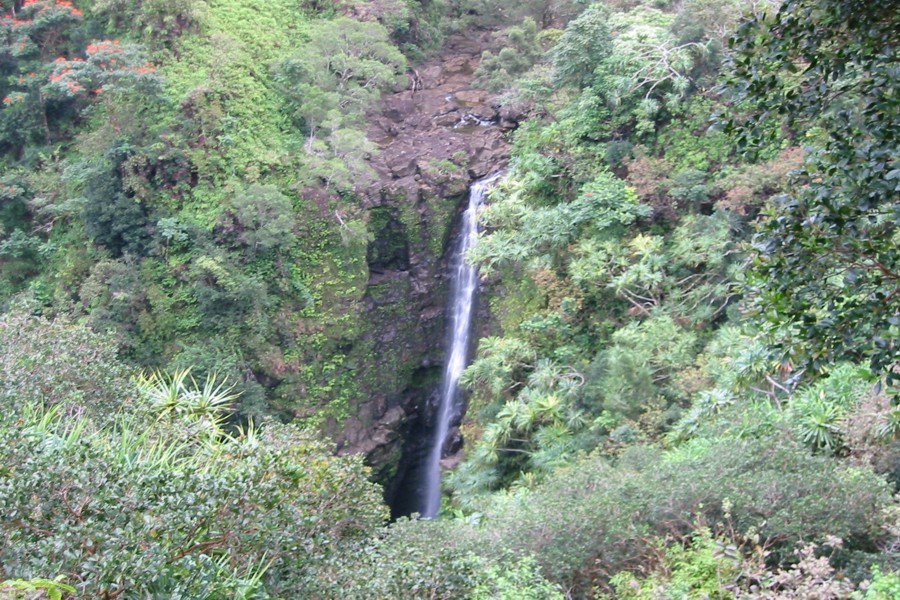 ../image/lower puohokamoa falls.jpg